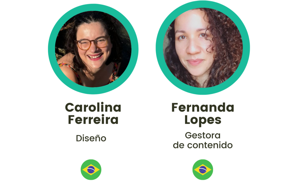Brasil contenido y diseño